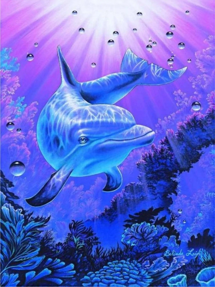 Norimpex malování podle čísel Delfín 40 × 50 cm