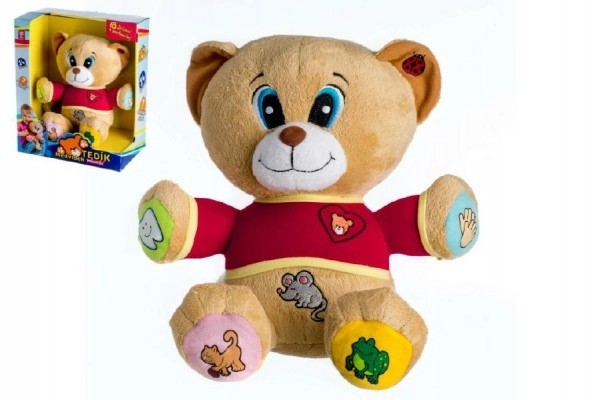 Levně Teddies Medvěd Tedík mluvící