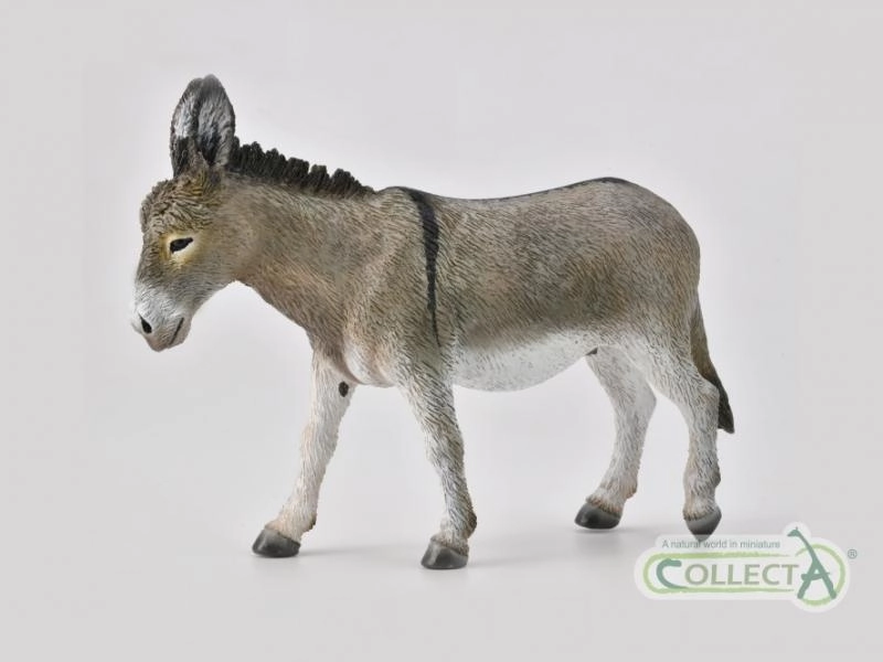 Collecta Osel