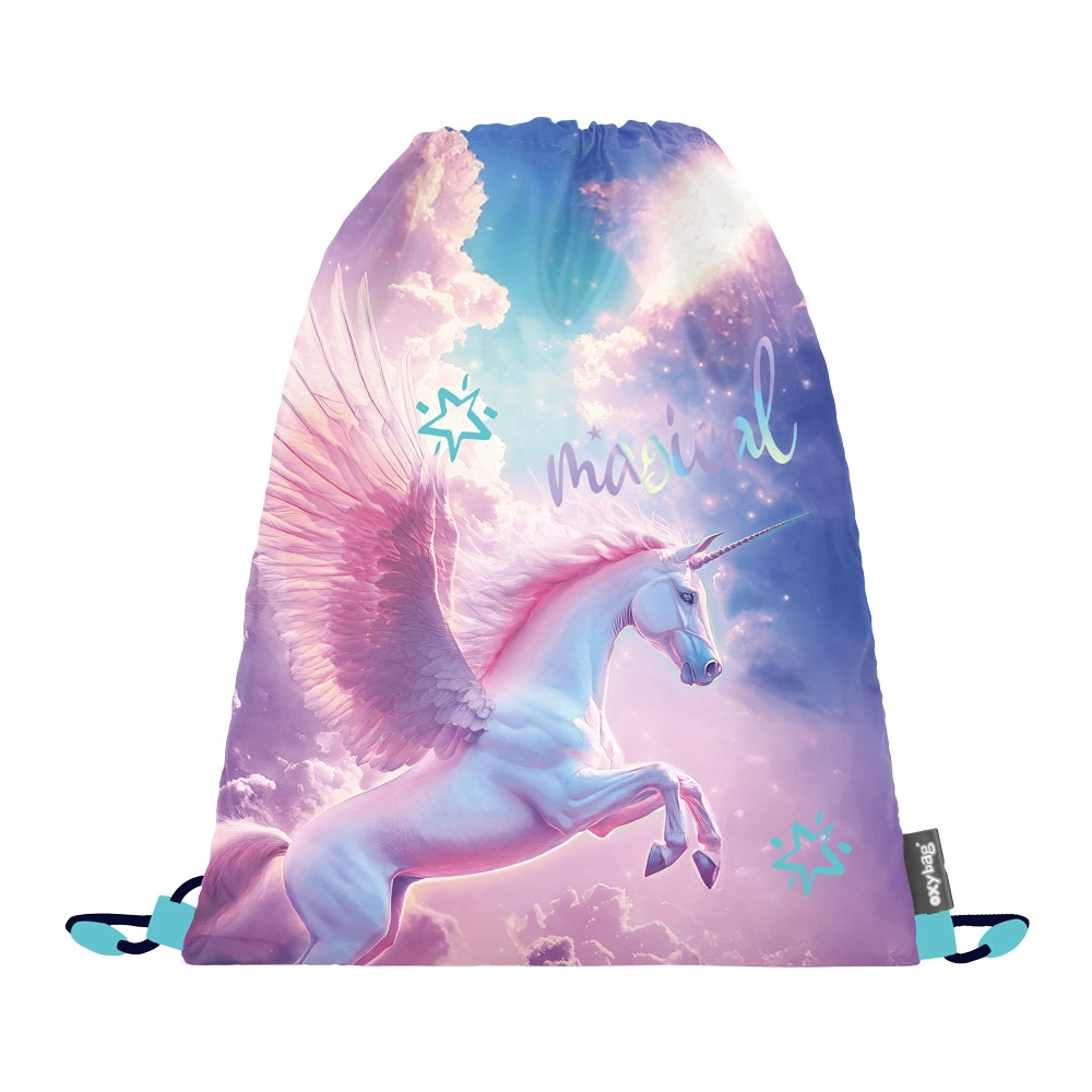 Sáček na cvičky Pegas KARTONPP