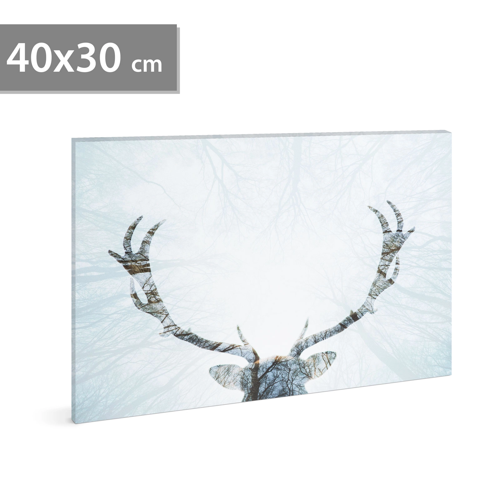 LED obraz se sobem 40 × 30 cm