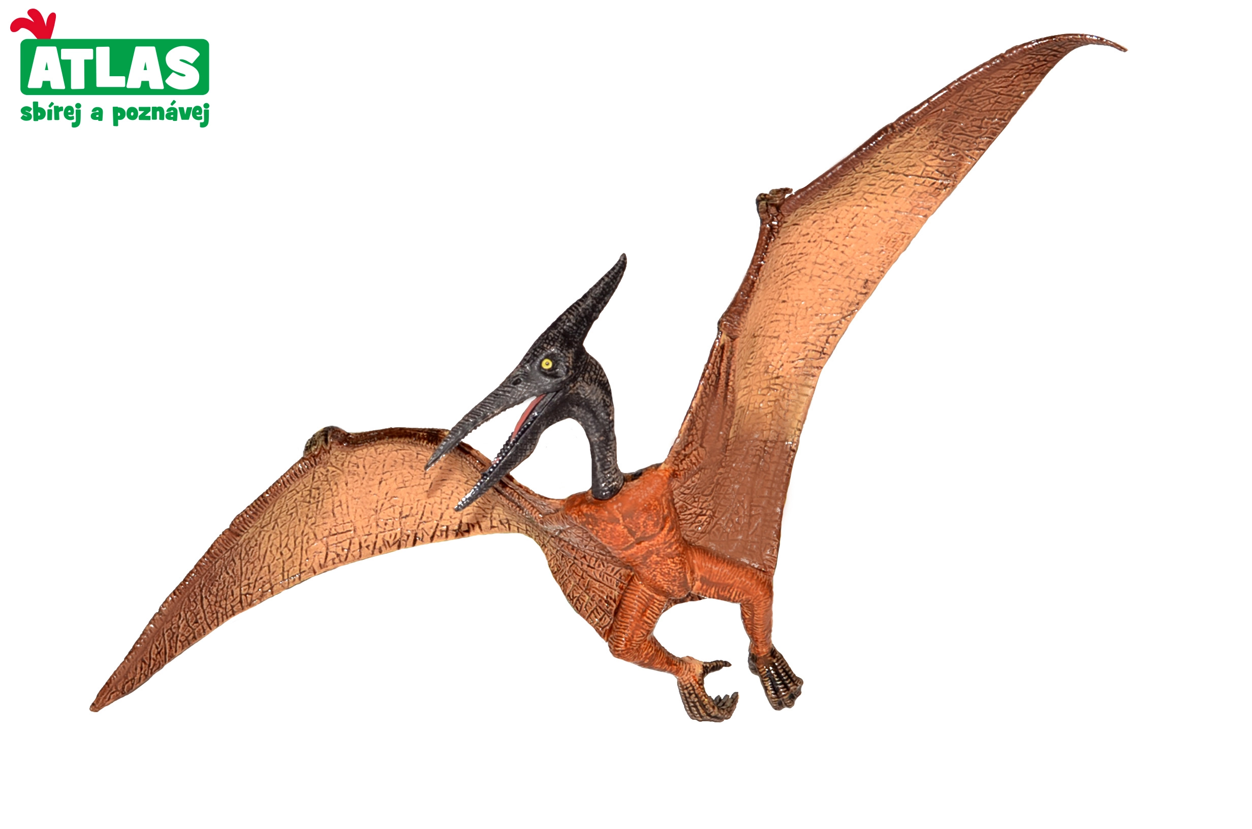 Levně Figurka Dino Pteranodon