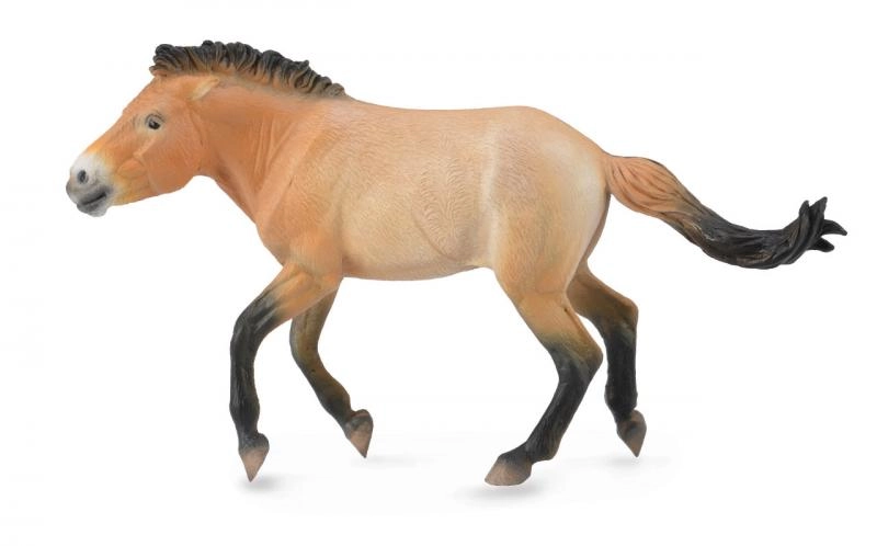 Collecta Kůň Převalského