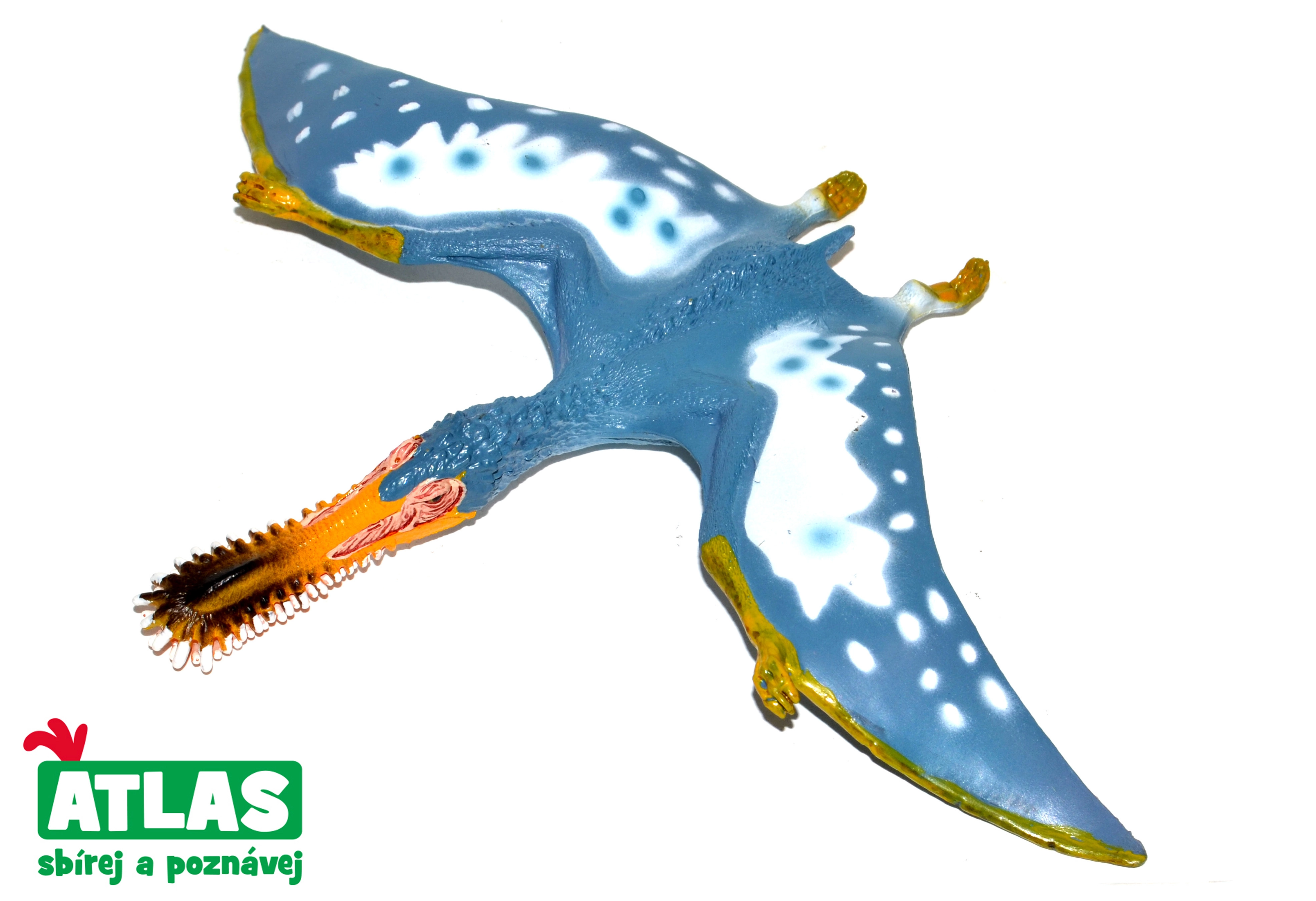 Levně Atlas E Dino Pterosaurus