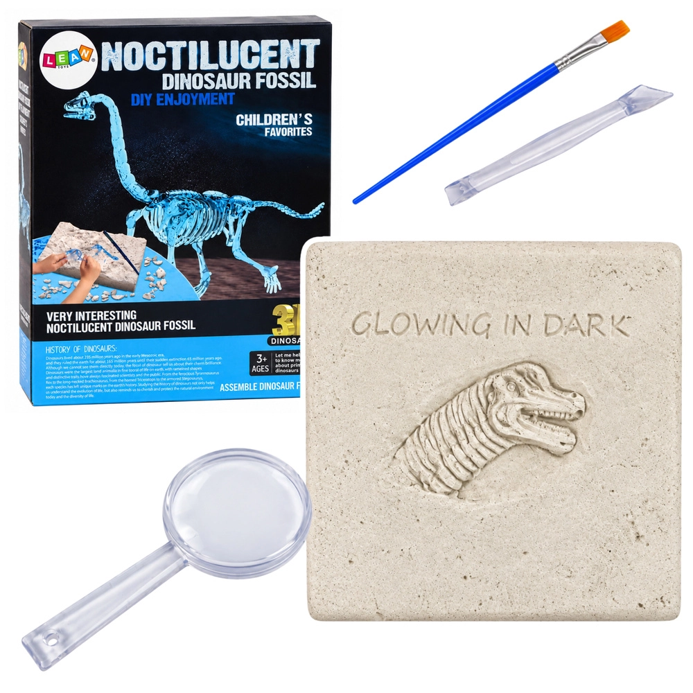 Archeologická sada 3D kostra dinosaurů Brachiosaurus