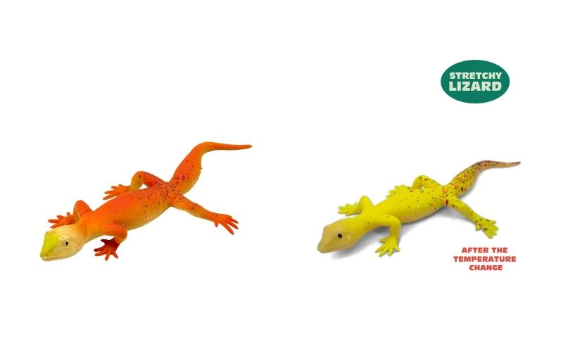 MAGANA Gekon měnící barvu