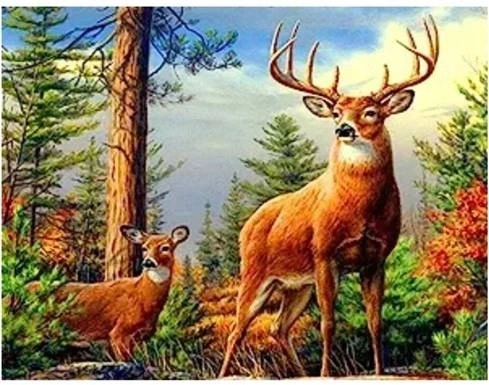 Levně Norimpex diamantové malování jelen v horách 30 × 40 cm