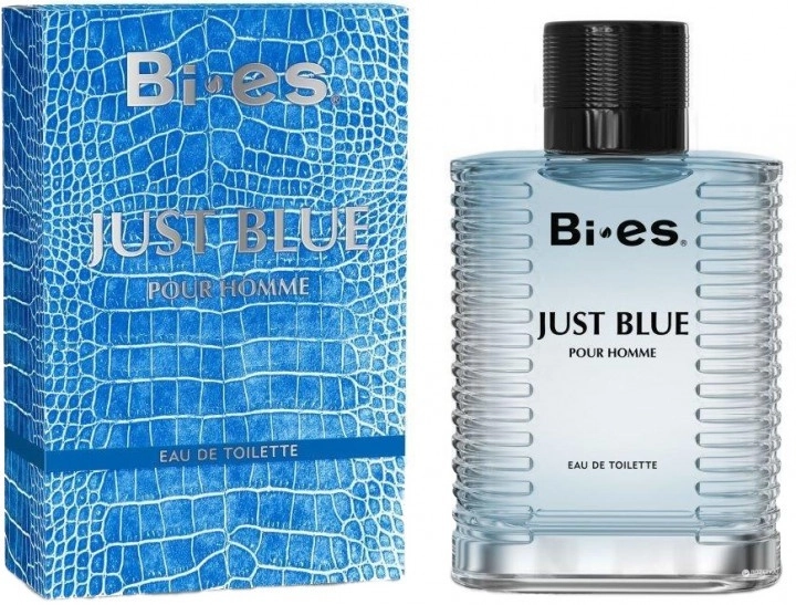 BI ES Just Blue toaletní voda pánská 100 ml