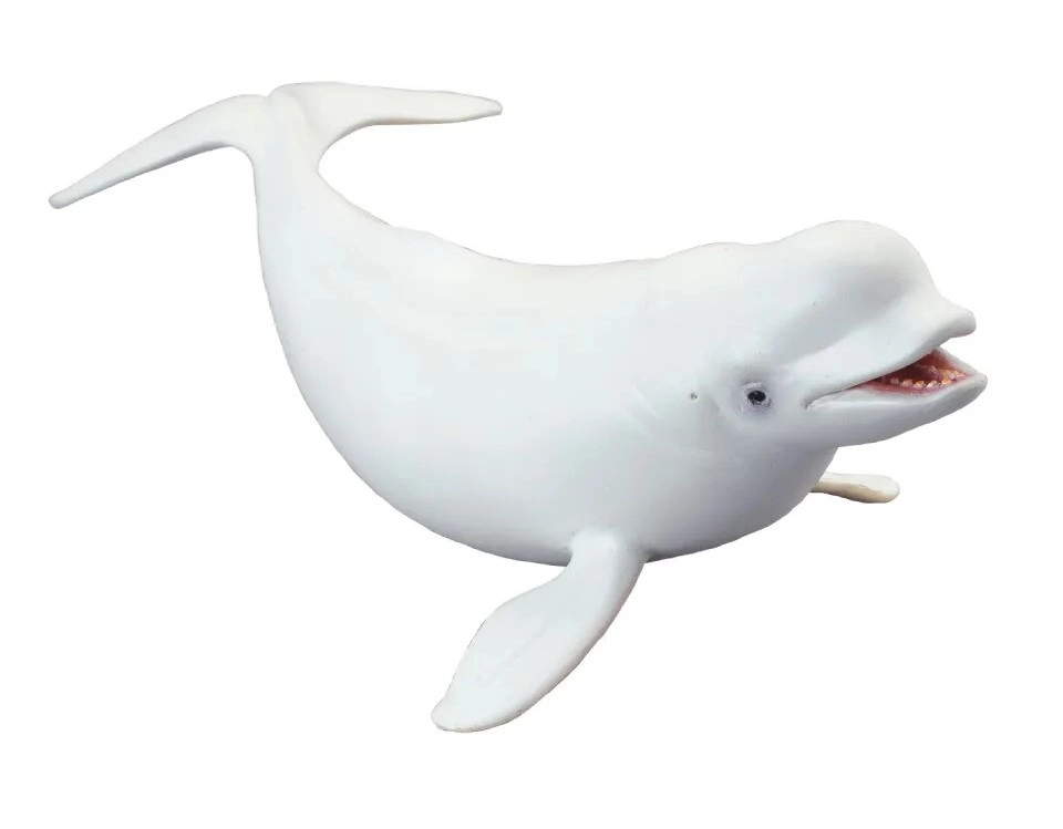 Levně Collecta Běluha severní