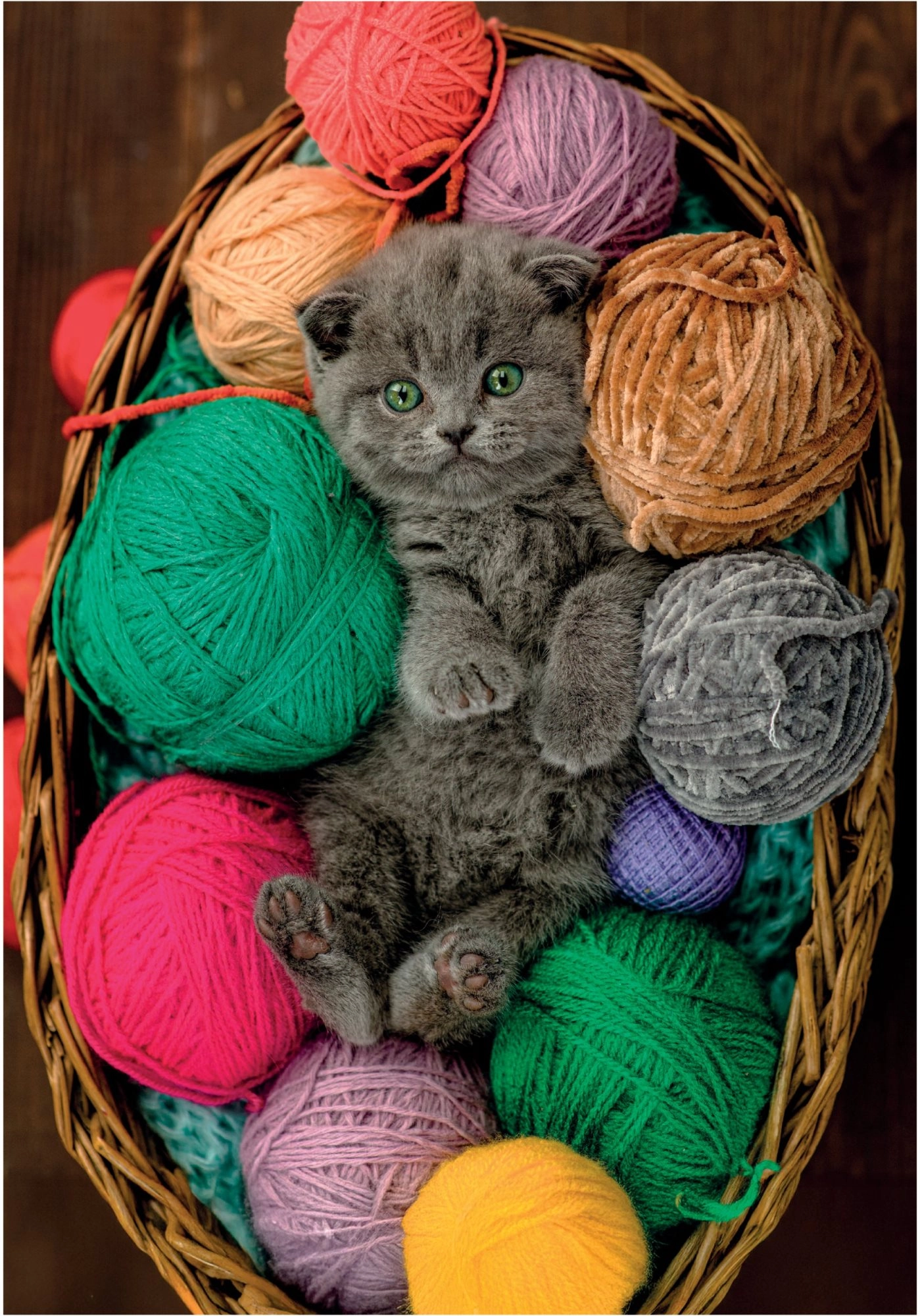 Puzzle chlupaté koťátko 500 dílků CLEMENTONI