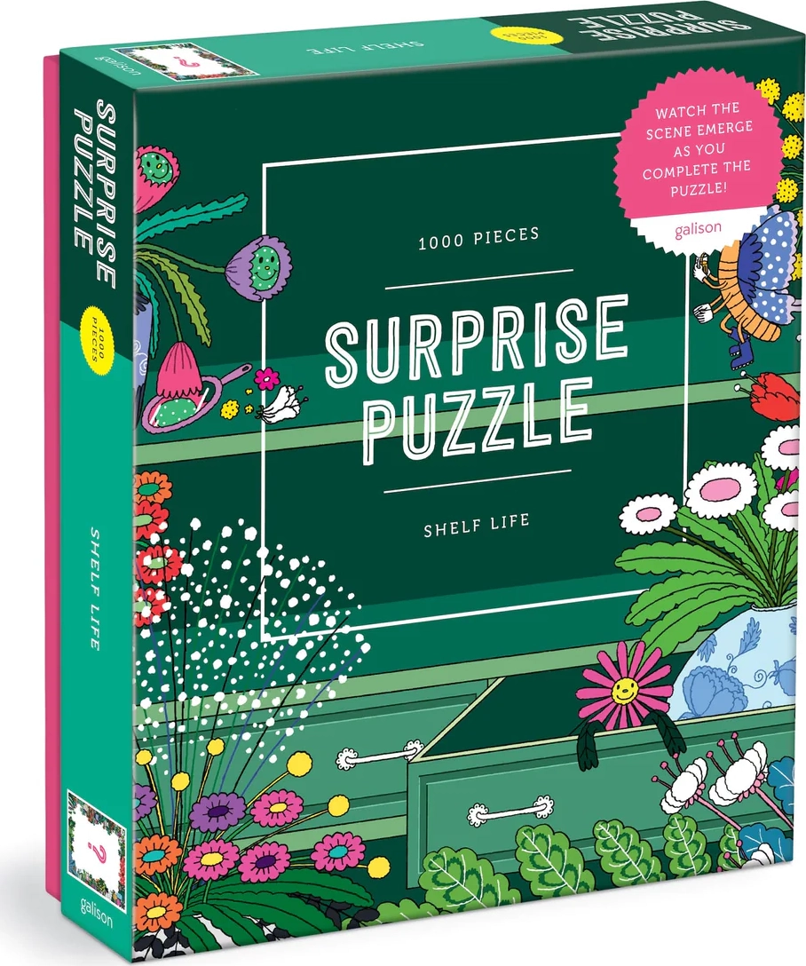 GALISON Surprise puzzle Život na poličce 1000 dílků