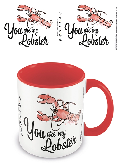 EPEE merch Hrnek Přátelé You are my lobster keramický a karneval 315 ml