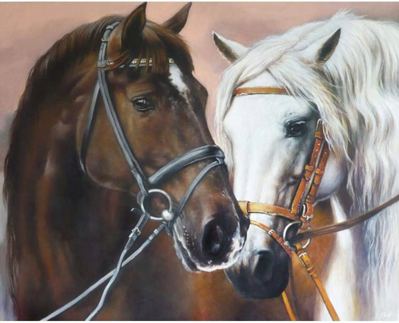 vytvarnehracky.cz Diamantový obrázek - Koně v objetí 30x40cm