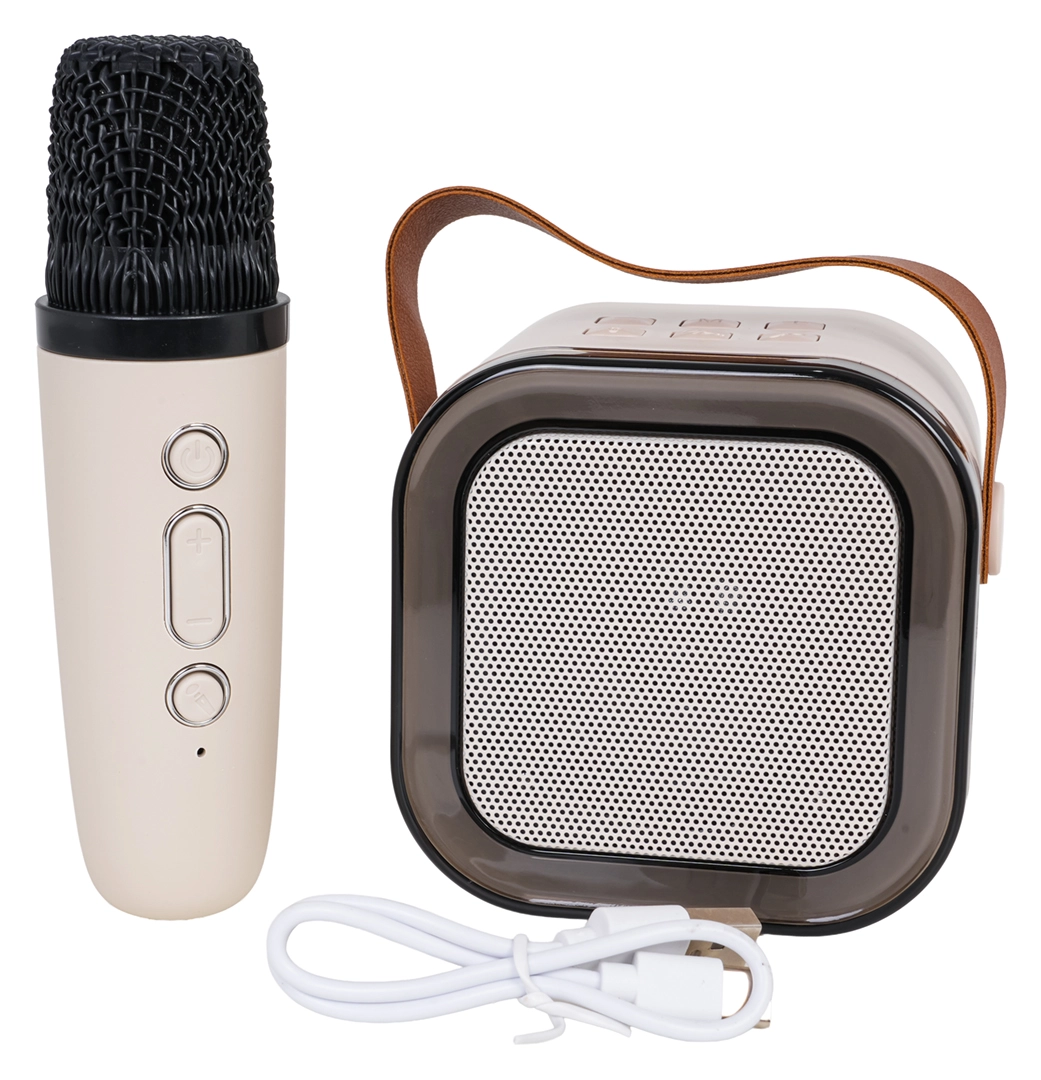 Karaoke set s bezdrátovým mikrofonem a přenosným Bluetooth reproduktorem s RGB