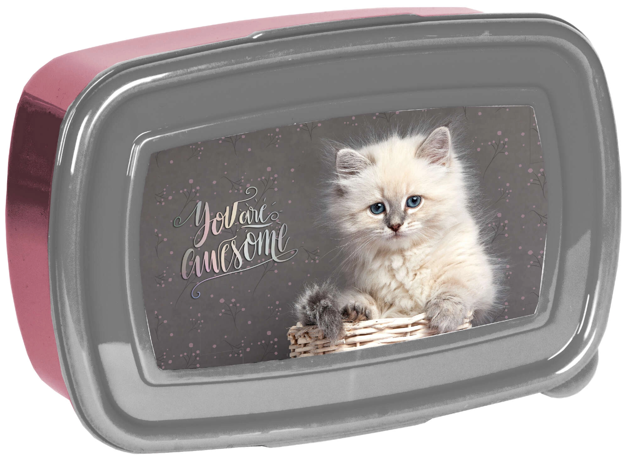 Paso svačinový box s kočičkou 750 ml