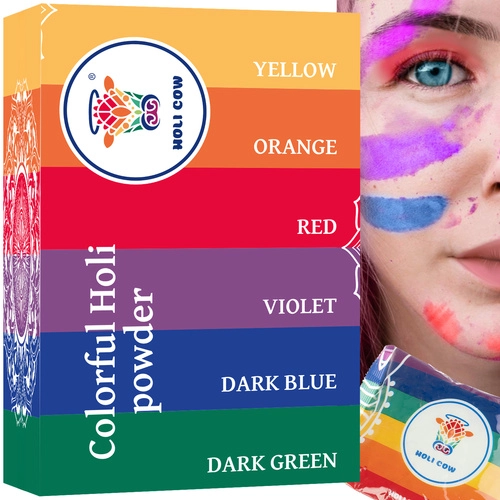 ISO 10565 Holi barevný prášek 6x100 g color