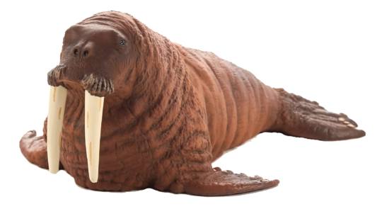 Mojo Animal Planet Mrož