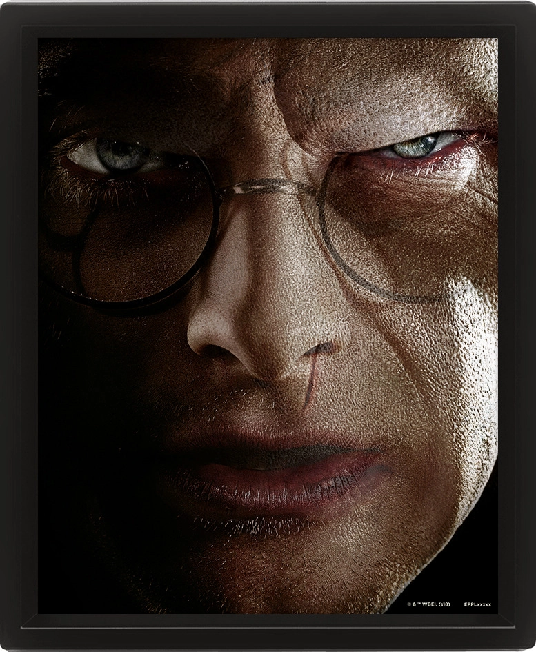 Levně Harry Potter : Harry vs. Voldemort - 3D Obraz s rámem 3D Obraz (s rámem)