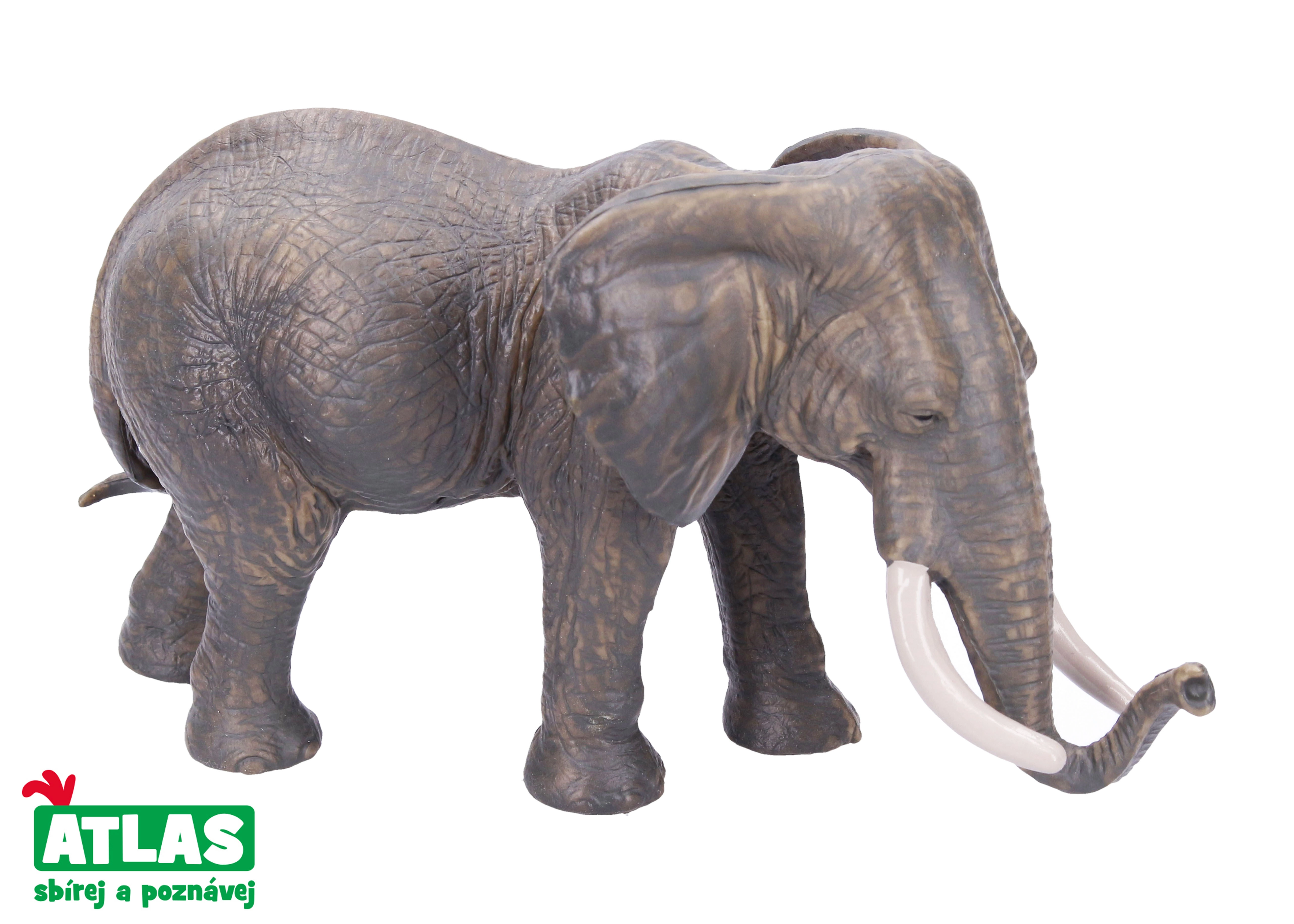 Levně Atlas E Slonice africká 17cm