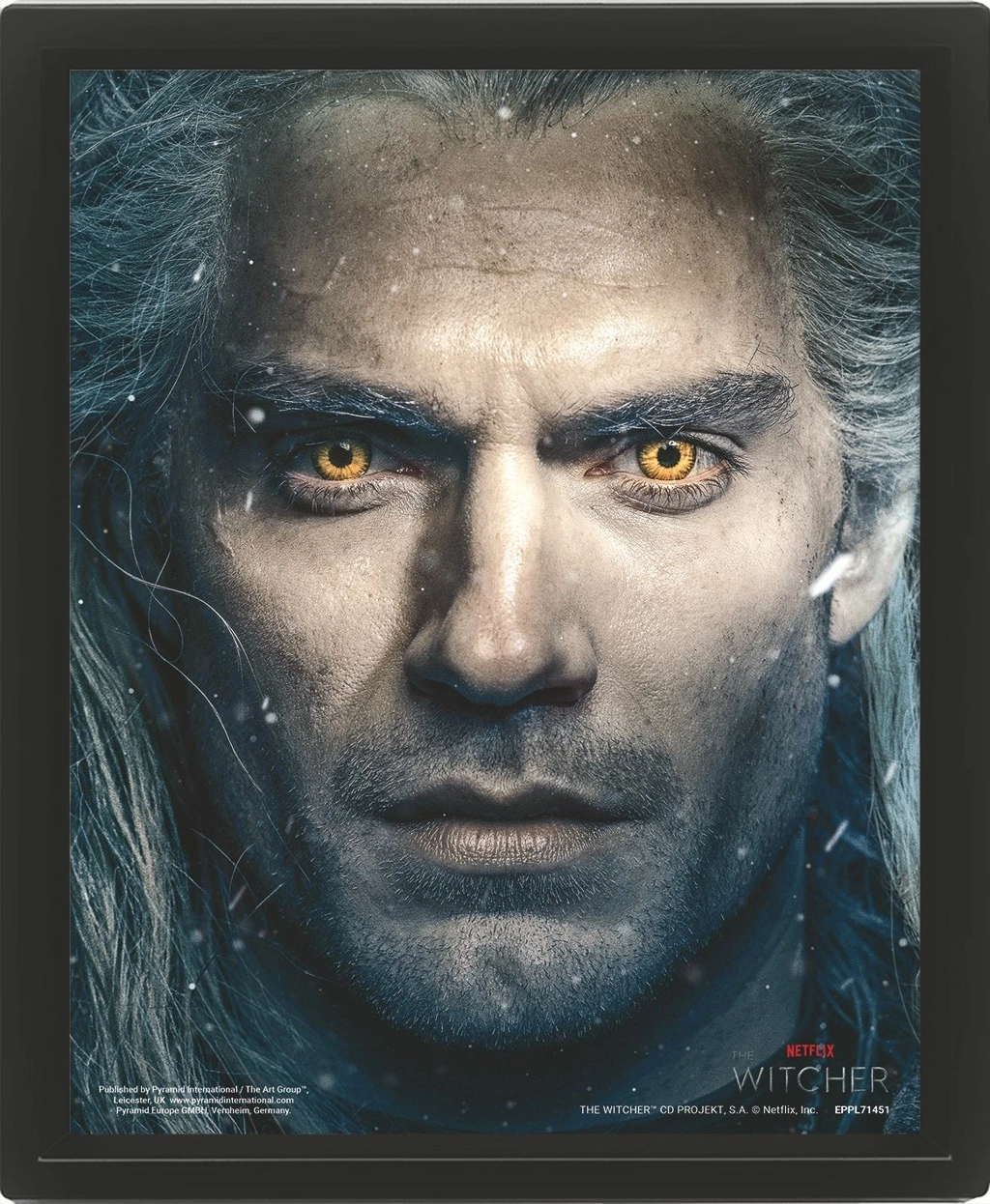 Zaklínač : The Witcher 2 - 3D Obraz s rámem 3D Obraz (s rámem)