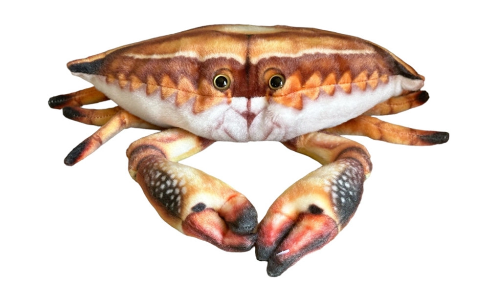 Plyšový krab 31 cm