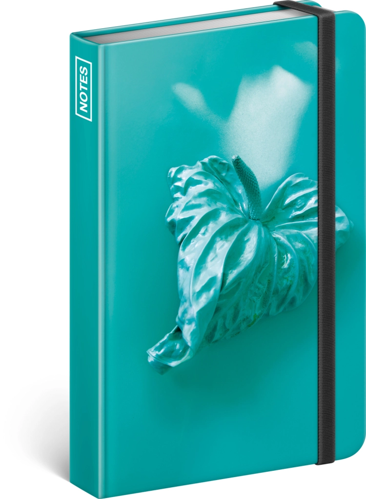 Presco Group Notes Srdce Andrea Katonová, linkovaný, 10,5 x 15,8 cm