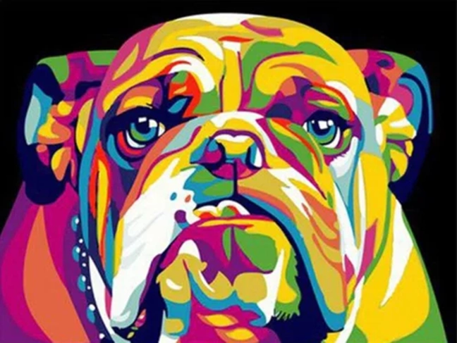NORIMPEX Malování podle čísel Barevný buldok 40 × 50 cm