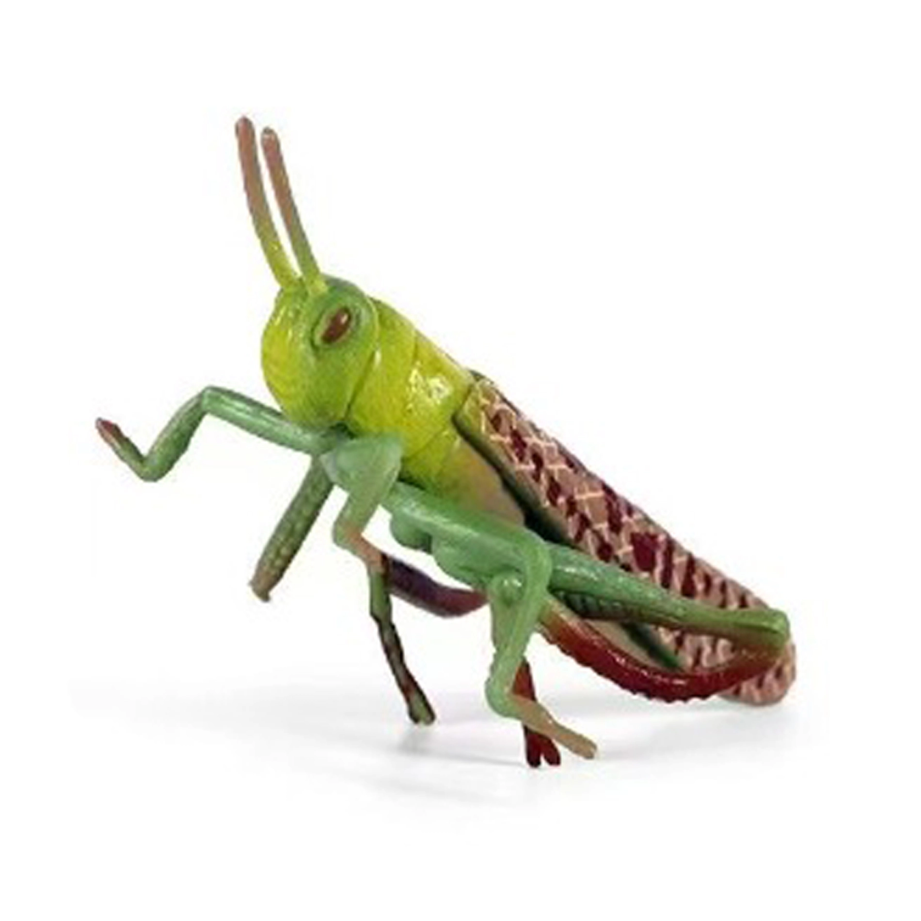 Saranče – plastová figurka 7 cm