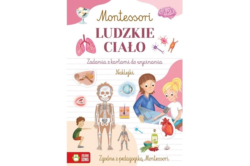 Montessori – Lidské tělo