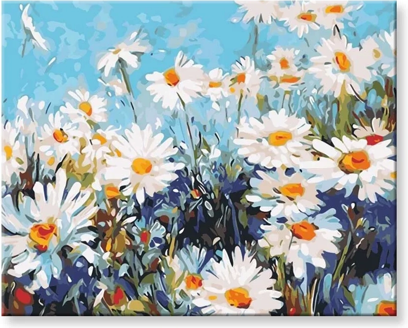Norimpex Malování podle čísel Sedmikrásky 40 x 50 cm