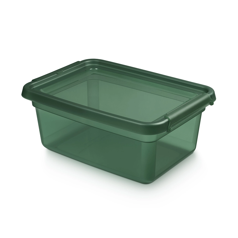 Levně Basestore úložný plastový box s víkem a klipsy pine 12,5 l