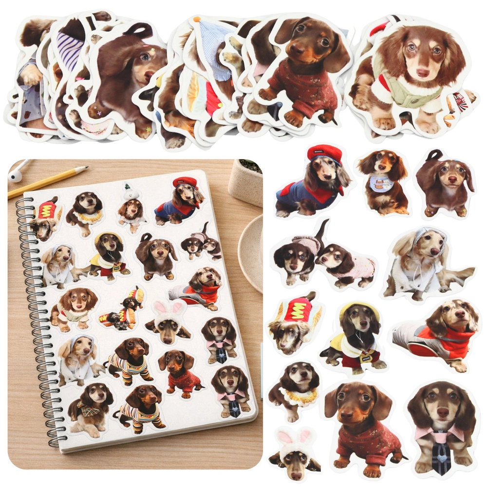 Sada papírových samolepek se španěly 50 ks