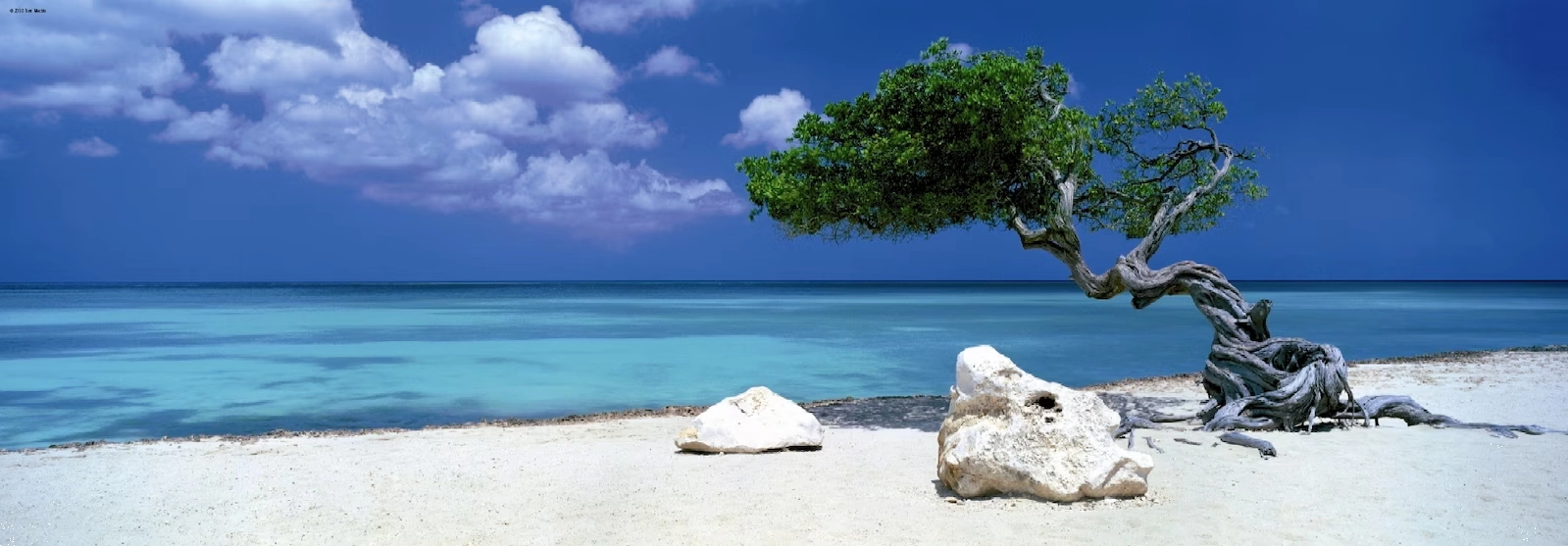 Panoramatické puzzle Divi Divi strom na Arubě 1000 dílků HEYE