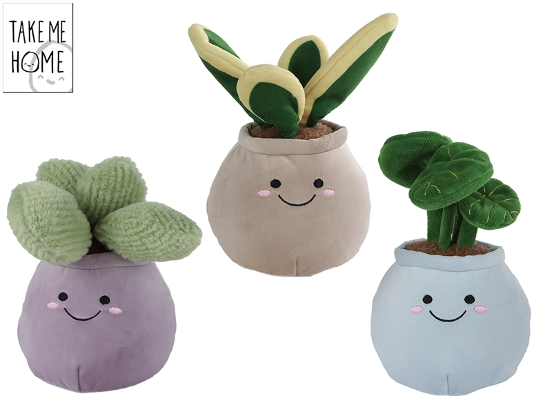 Plyšová pokojová rostlina Take Me Home