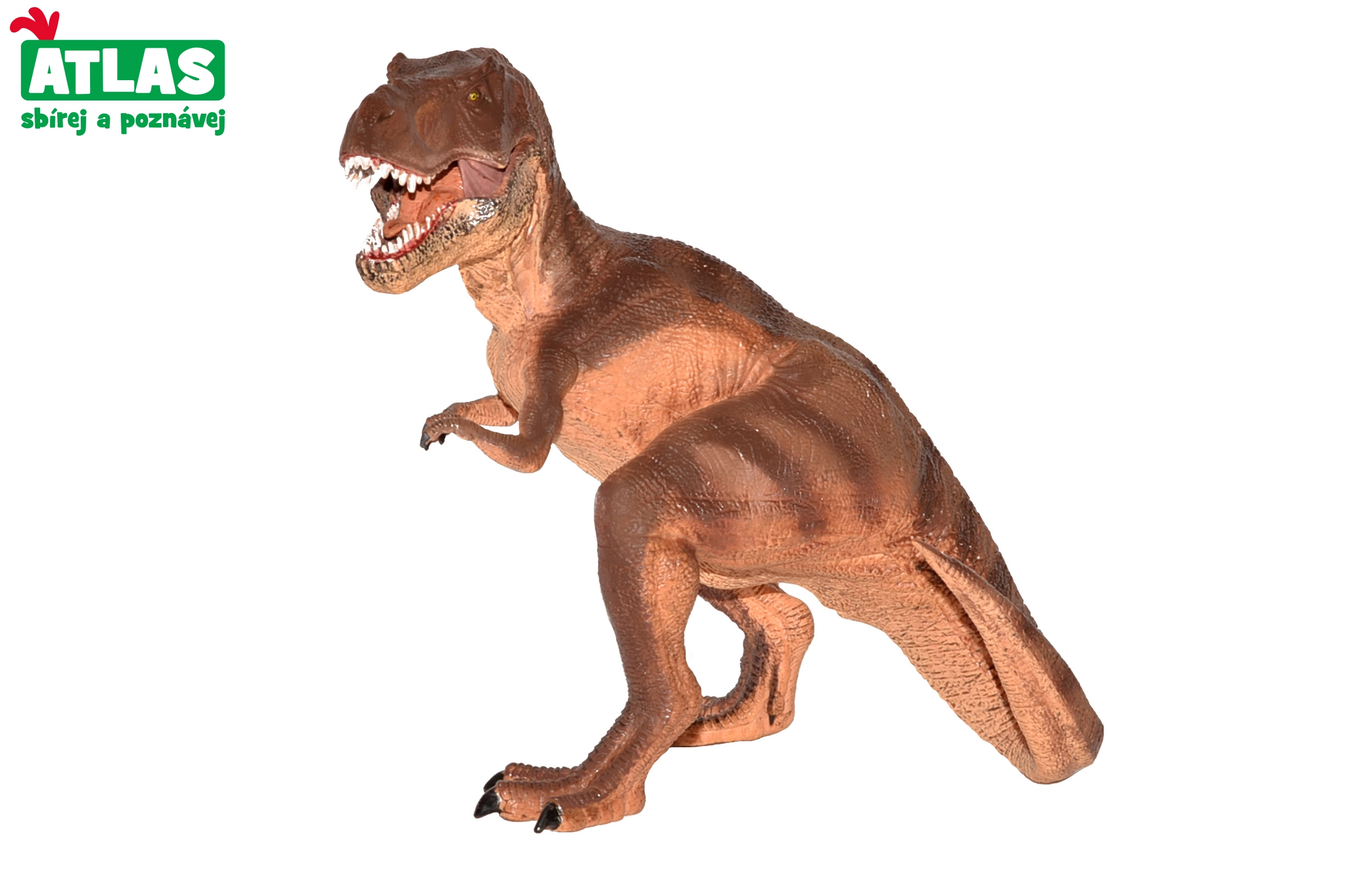 Levně Atlas G Dino Tyrannosaurus Rex