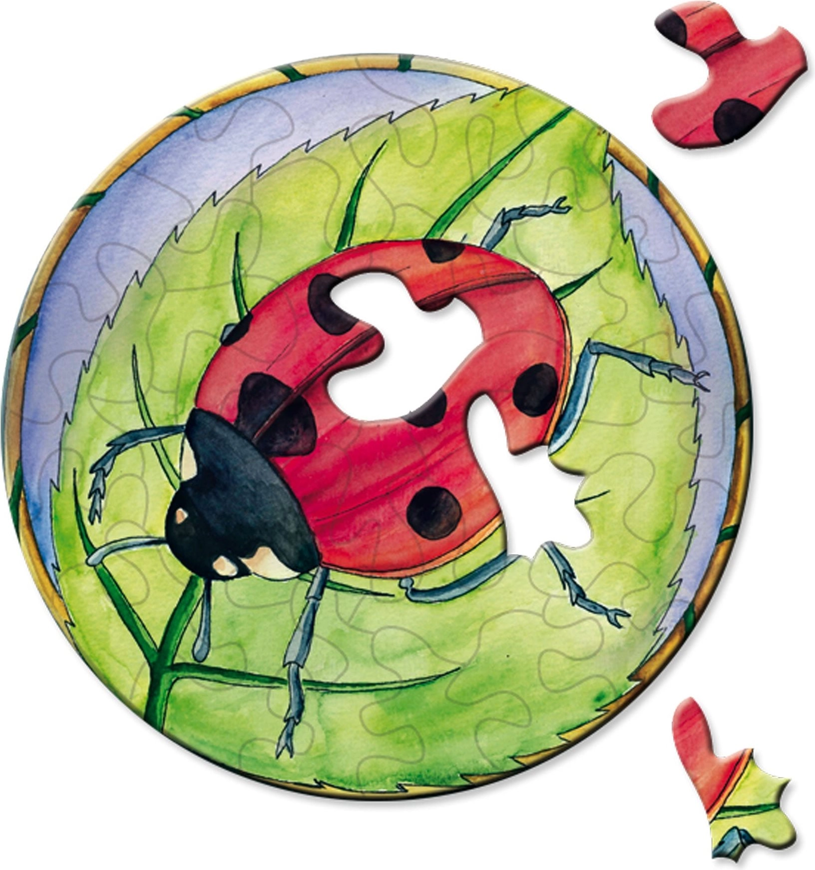 Curiosi kulaté puzzle Picoli beruška 33 dílků