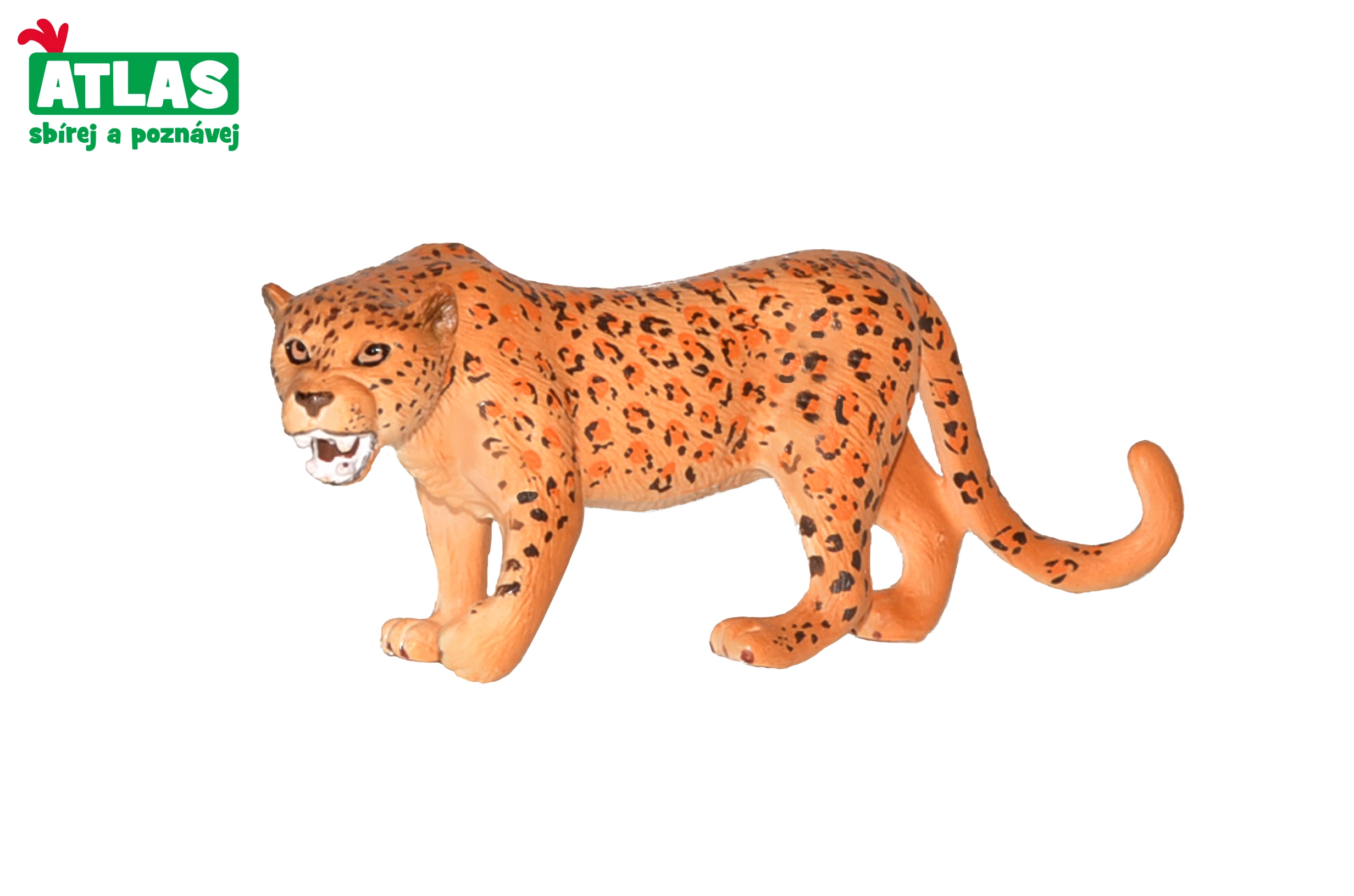Levně Atlas C Leopard 11 cm