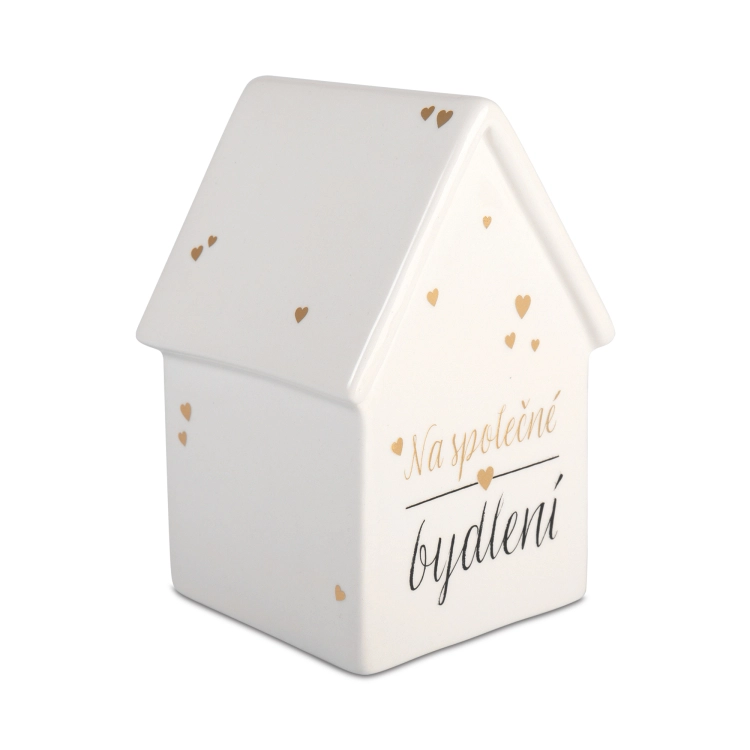 Svatební pokladnička - Na společné bydlení Albi