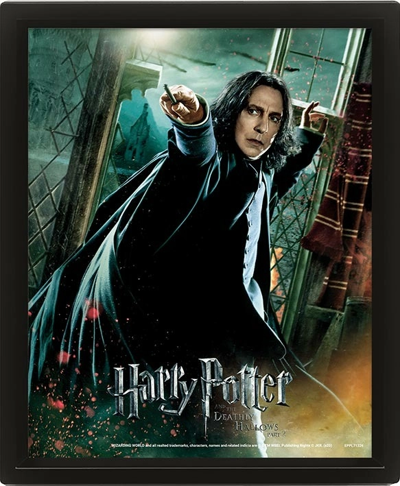 Levně Harry Potter : Snape - 3D Obraz s rámem 3D Obraz (s rámem)