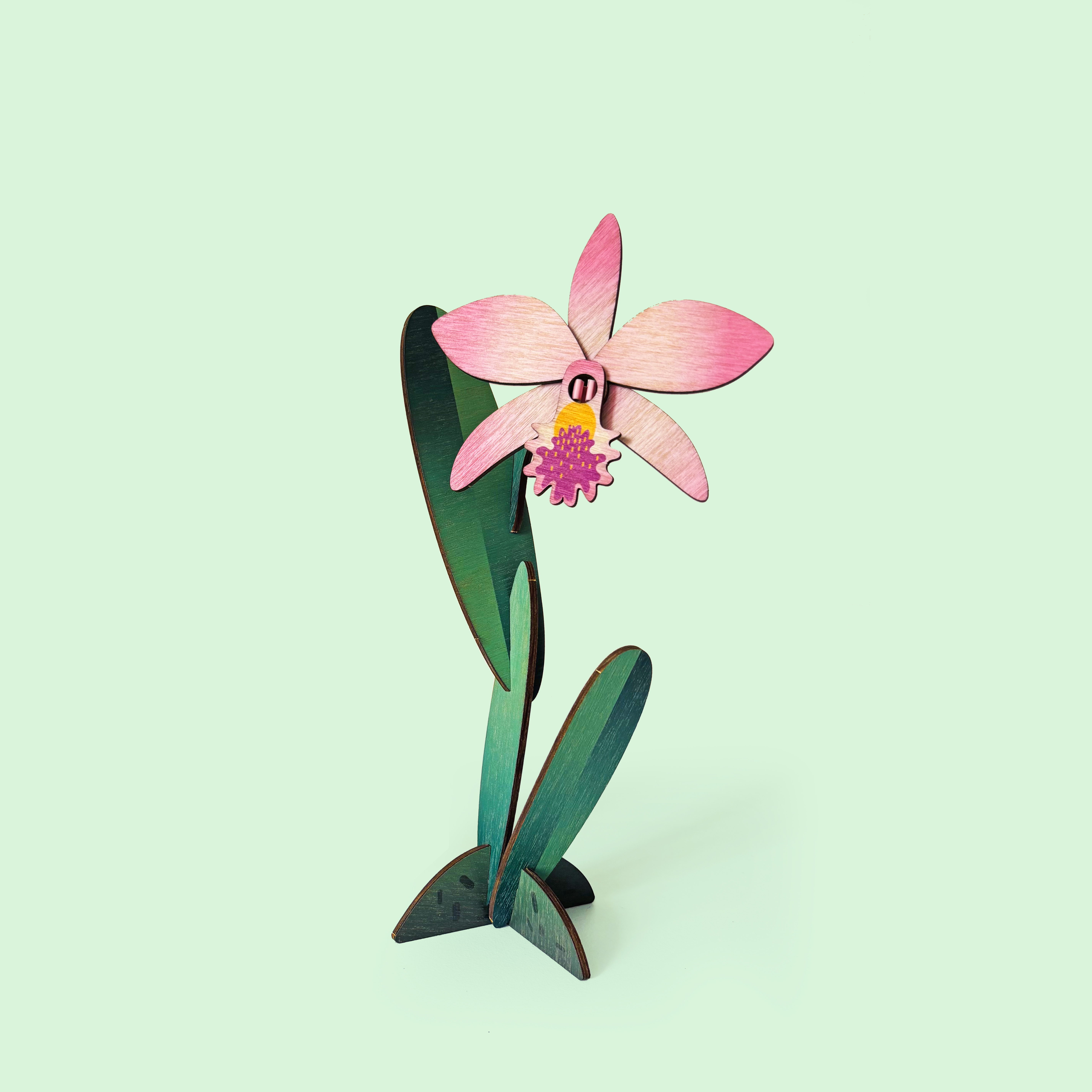 TOTEMO Květina – Orchidej