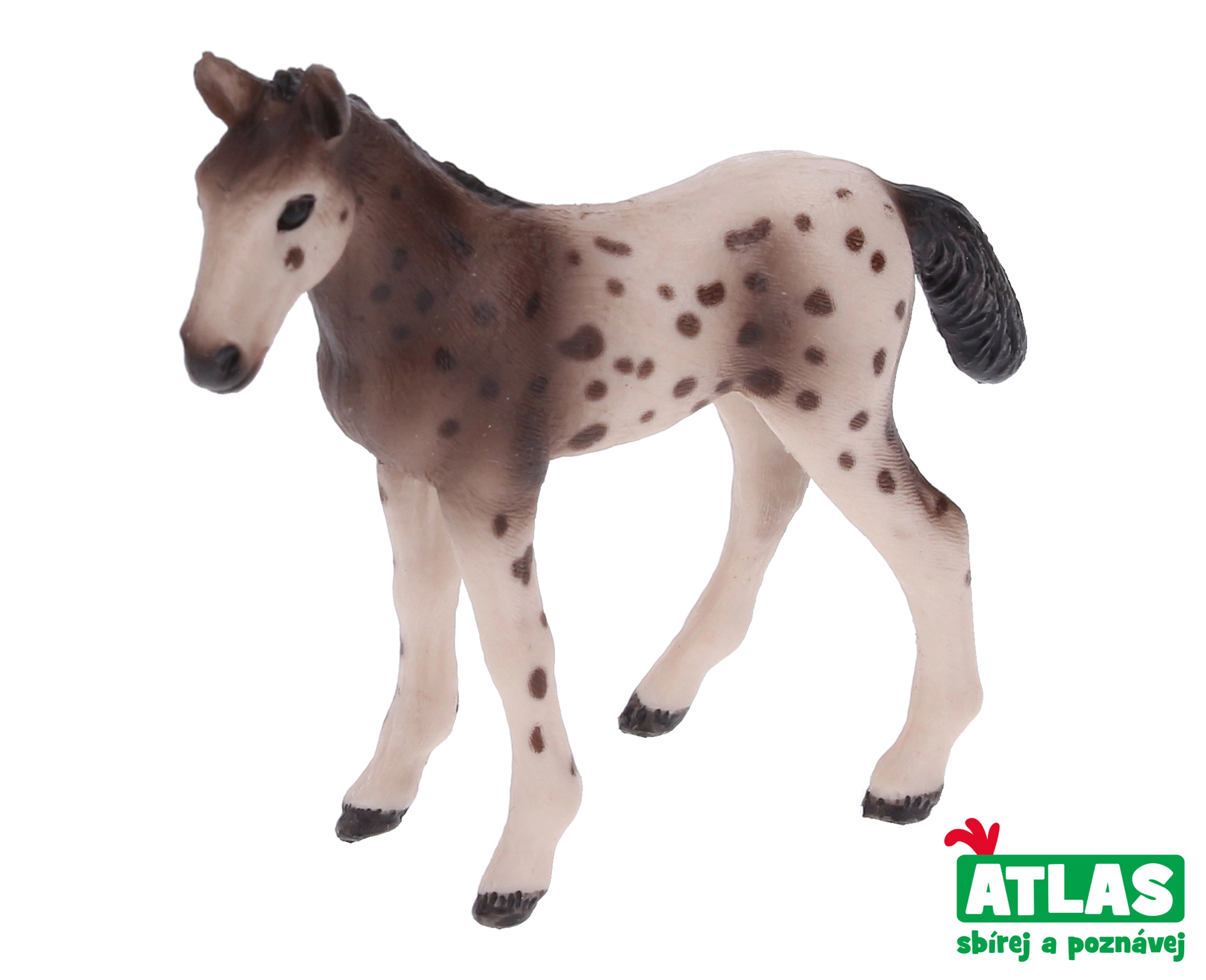 Levně Atlas B Hříbě