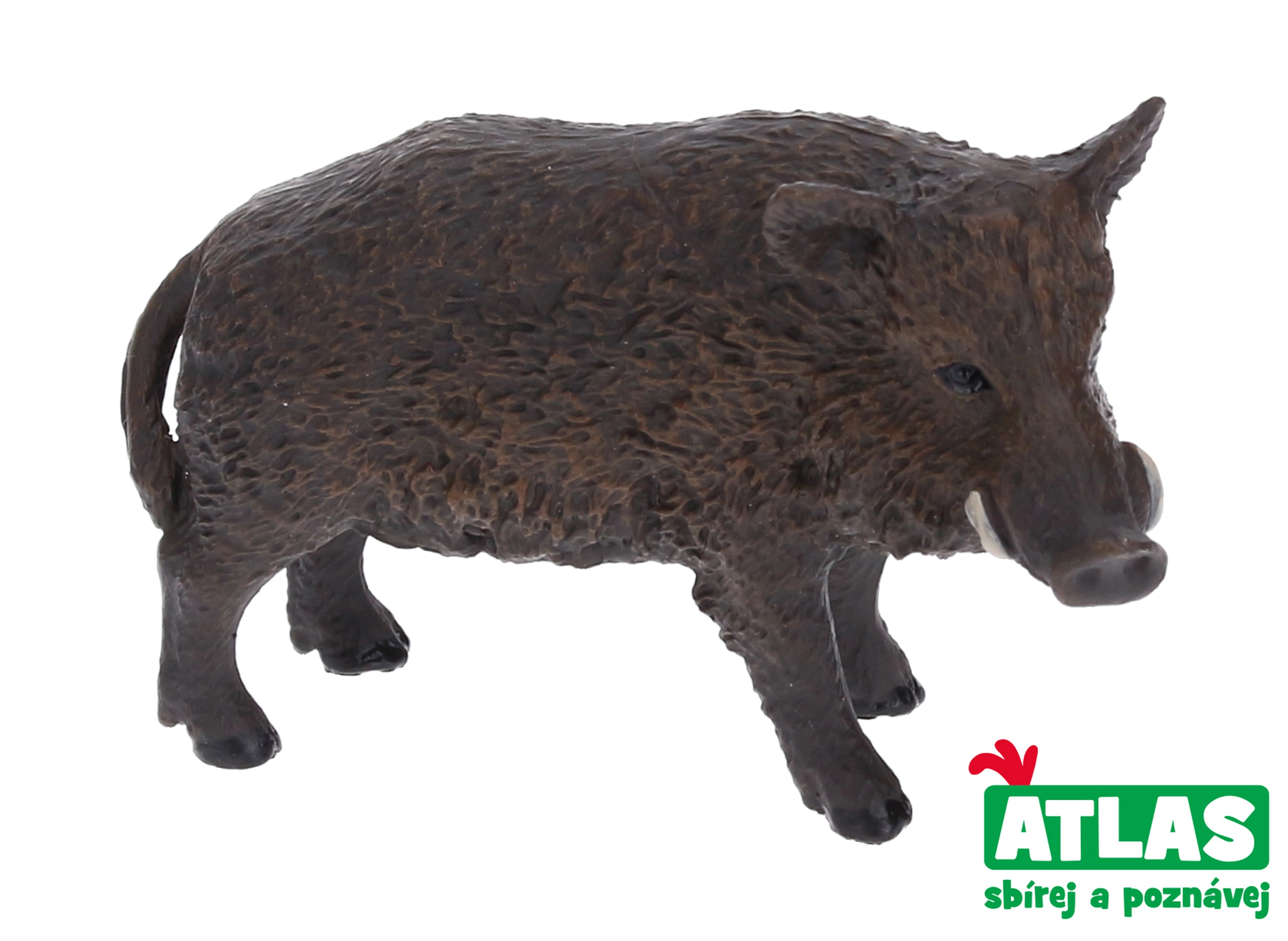 Levně Atlas B Divočák 7 cm
