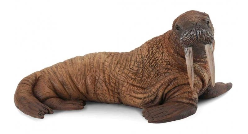 Collecta Mrož lední