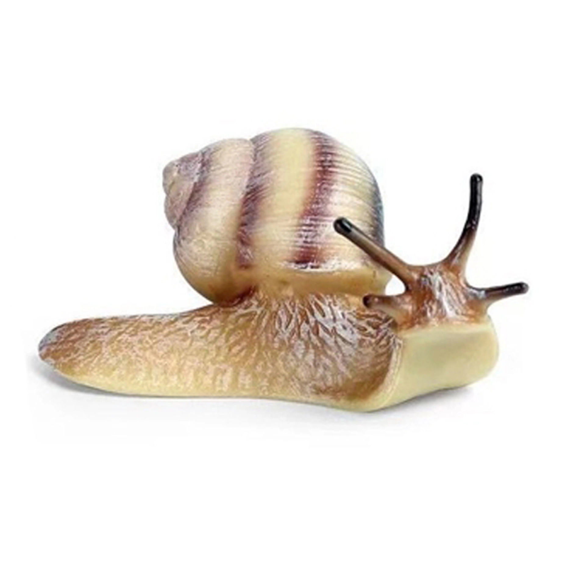 Plastový hlemýžď 8 cm