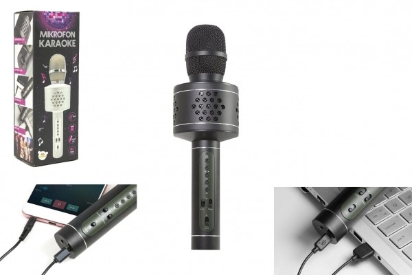 Levně Teddies Mikrofon Karaoke Bluetooth černý na baterie s USB kabelem