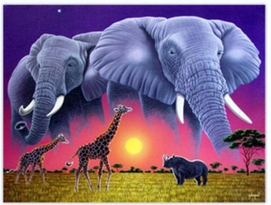 Norimpex malování podle čísel Sloni 40 × 50 cm