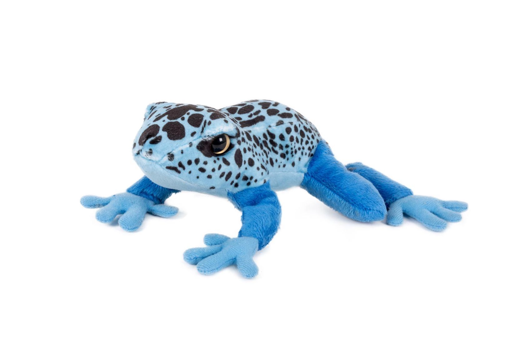 Plyšová modrá žába ležící 21 × 19 cm