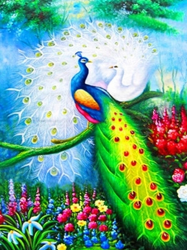 Diamantové malování – pávi 30 × 40 cm