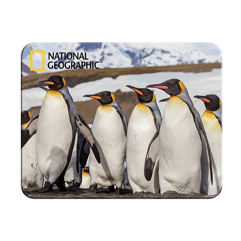 Magnetická 3D sada – tučňáci PRIME 3D