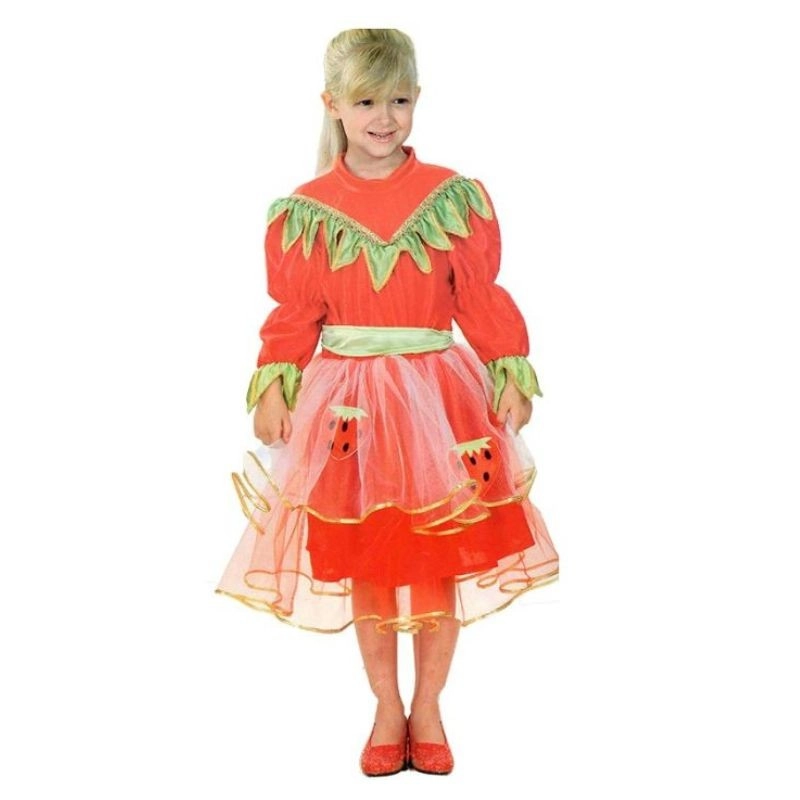 Kostým jahodová princezna pro dívky 3–4 roky